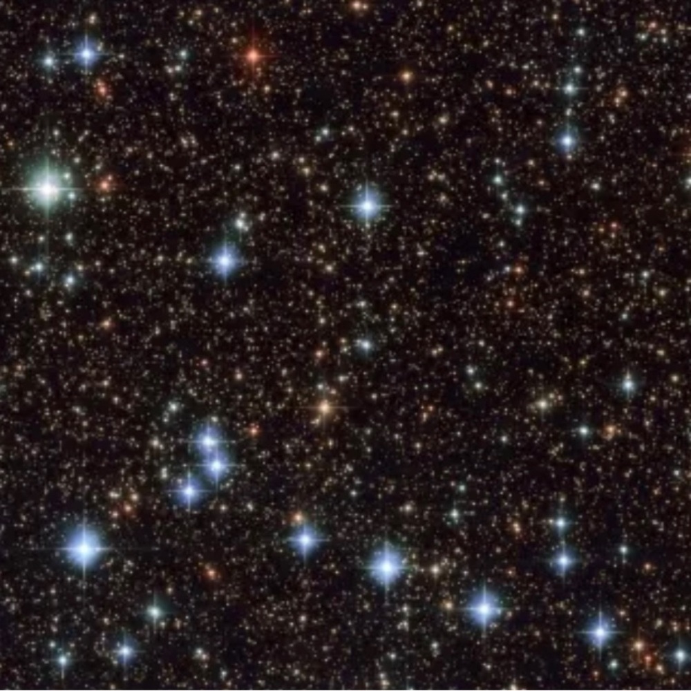 Meet your Posher, Erandi